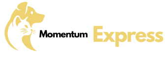 Momentum Express