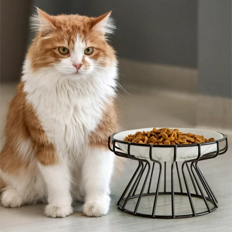 Ceramic Pet Feeder Bowl
