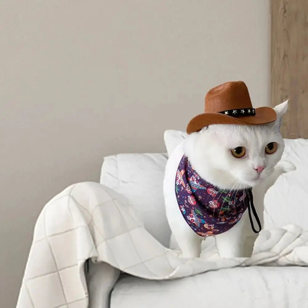 Adjustable Funny Cowboy Pet Hat
