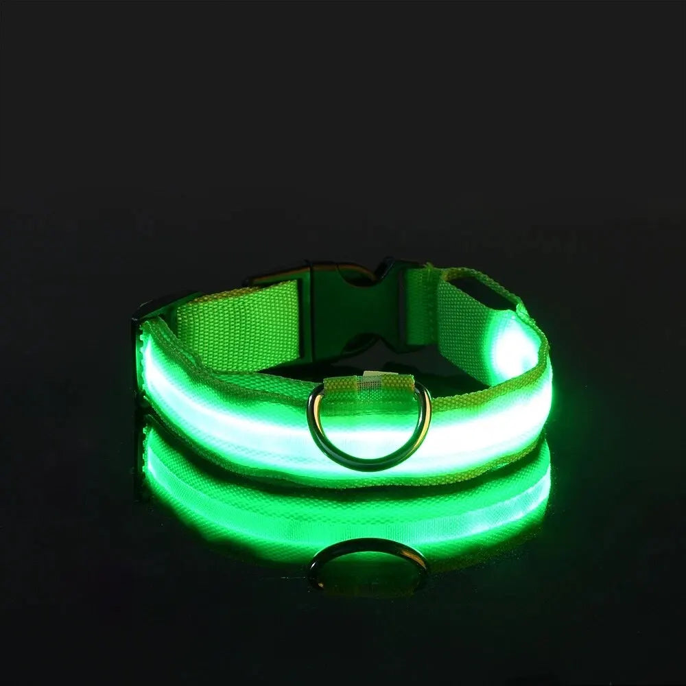 LED Glow Dog Leash & Luminous Collar