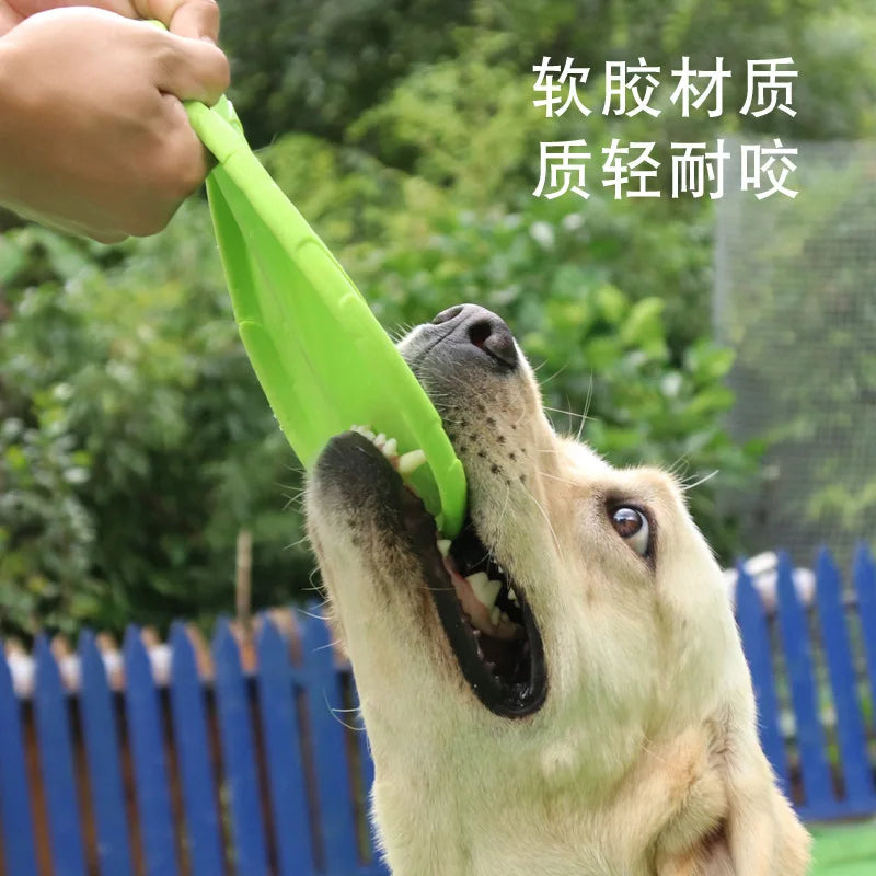 Dog Flying Disc Toy