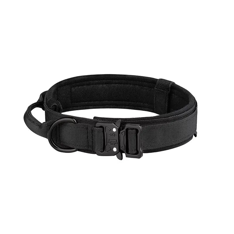 Adjustable Dog Collar with Buckle