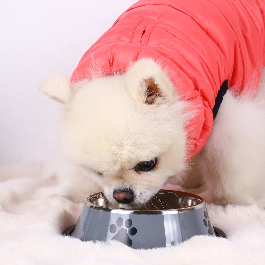 Stainless Steel Anti-Fall Pet Bowl
