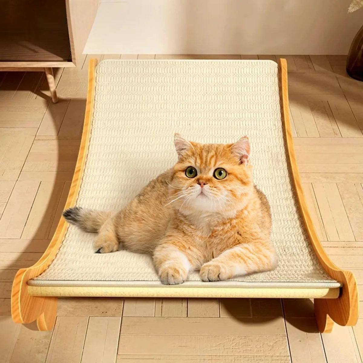 Wooden Cat Scratcher & Sleeping Bed