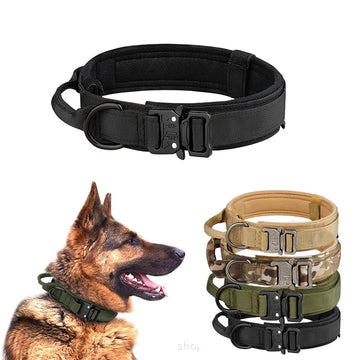 Adjustable Dog Collar with Buckle