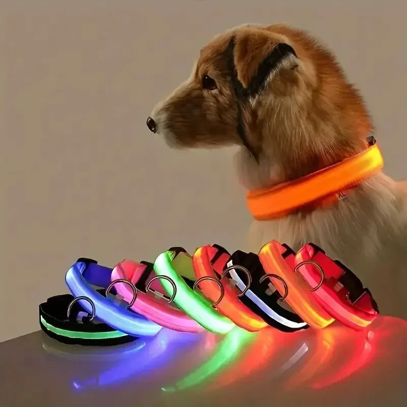 LED Glow Dog Leash & Luminous Collar