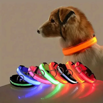 LED Glow Dog Leash & Luminous Collar