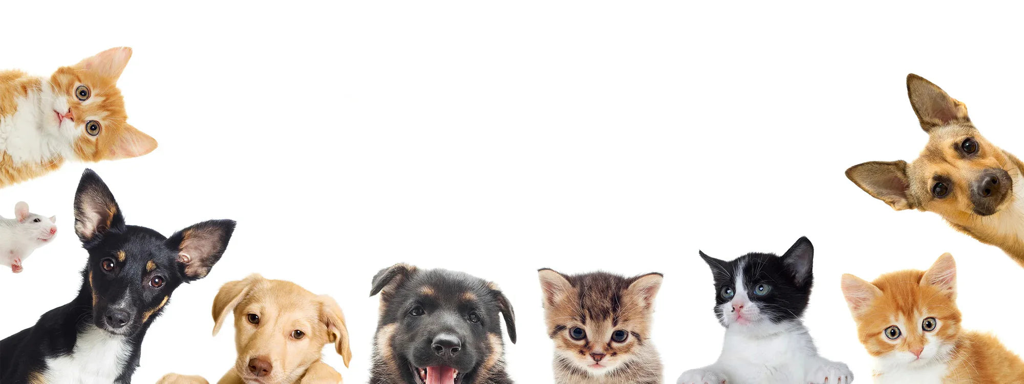 slider image slider_item_UmzpXw