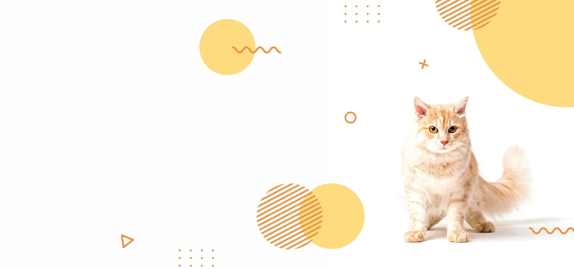 slider image 1621243260e1af0c20-1